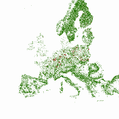 Export Image