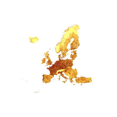 Export Image